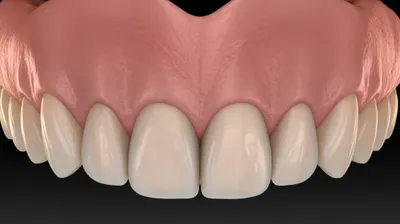 Illustration festoons - Image 1