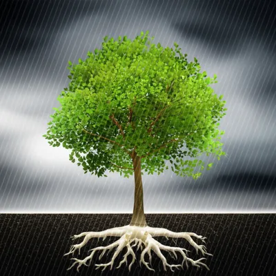 Illustration sure - Image 1