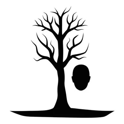 Hình ảnh minh họa raw - Ảnh 1