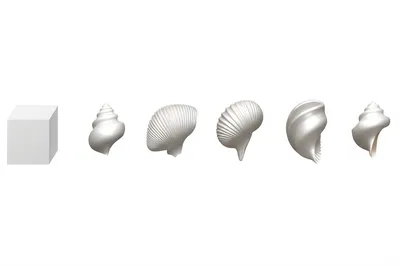 Illustration morphologies - Image 1