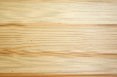 Illustration spruce - Image 1