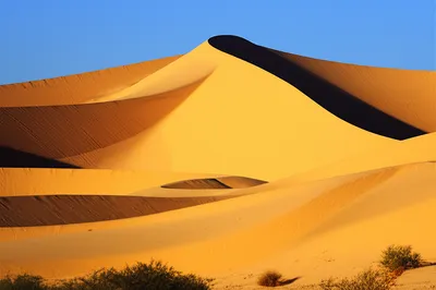 Illustration dunes - Image 1