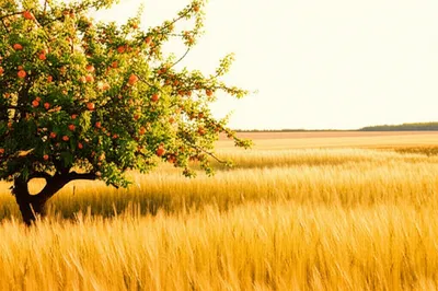 Illustration fattens - Image 1