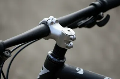 Illustration stem - Image 1