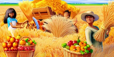 Illustration garnering - Image 1