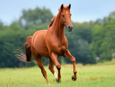 Illustration overreached - Image 1