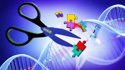 Illustration linker - Image 1