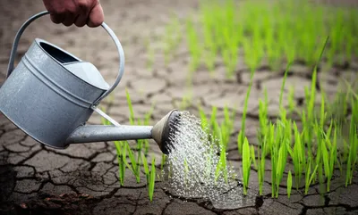 Illustration takes - Image 1