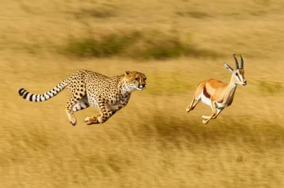 Illustration rushes - Image 1