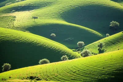 Illustration tambour - Image 1