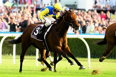 Illustration places - Image 1