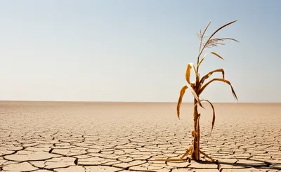 Illustration nigger - Image 1