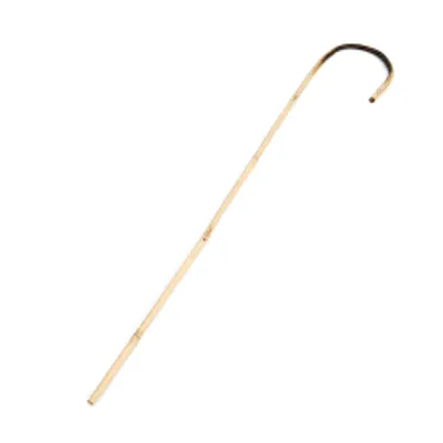 Illustration cane - Image 3