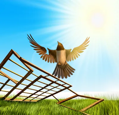 Illustration acquitting - Image 1