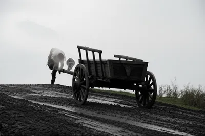 Illustration labored - Image 1