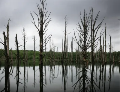 Illustration pollution - Image 1