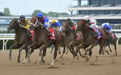 Illustration oaks - Image 1