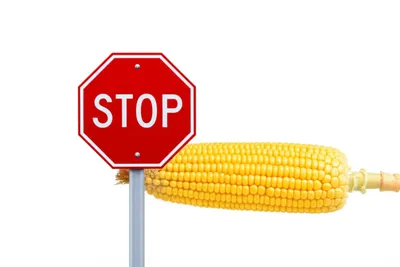 Illustration rhymes - Image 1