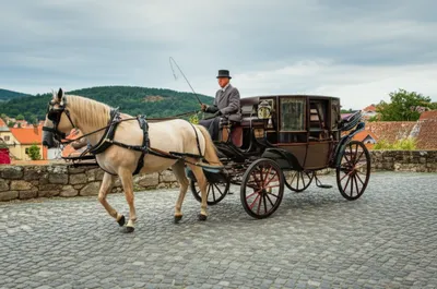 Illustration chaises - Image 1