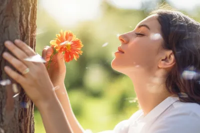 Illustration sensibilities - Image 1