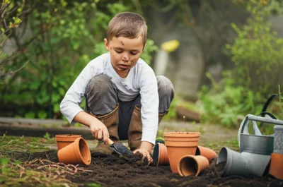 Illustration grub - Image 1