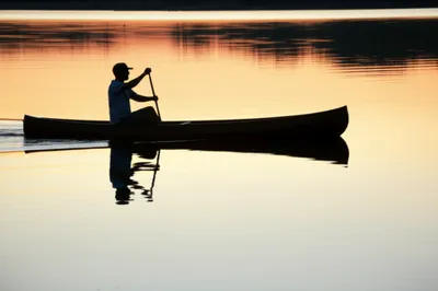 Hình ảnh minh họa paddles - Ảnh 1