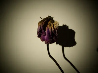 Illustration undertone - Image 1