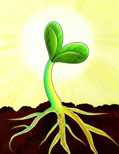 Illustration draws - Image 1