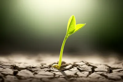 Illustration spring - Image 1