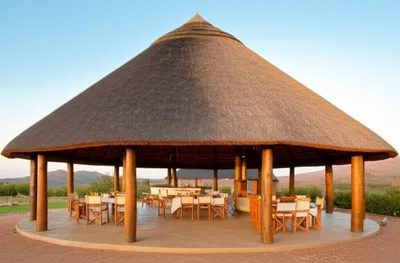 Illustration lapa - Image 1