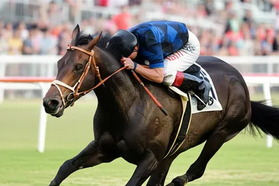 Illustration gruelling