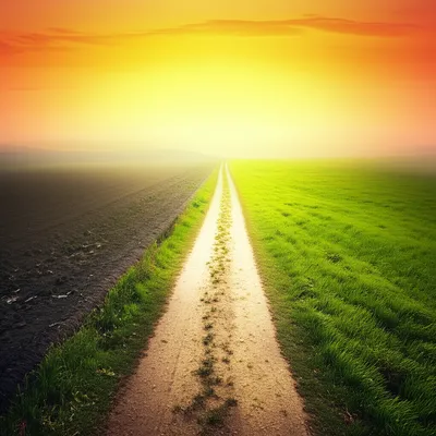 Illustration timespan