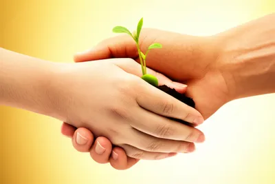 Illustration recommending - Image 1