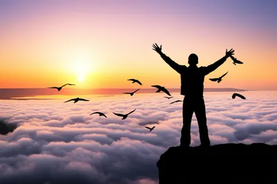 Illustration soared - Image 1