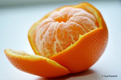 Illustration pills - Image 1