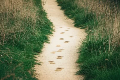 Illustration back - Image 1