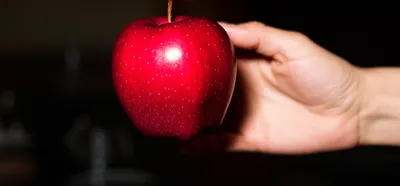 Illustration tempted - Image 1