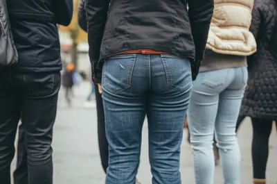 Illustration hindquarters - Image 1