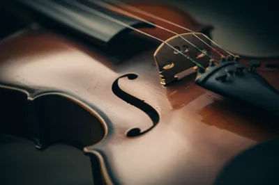 Illustration tables - Image 1