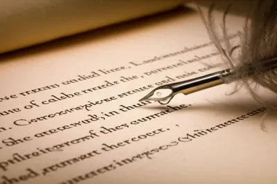 Illustration bobs - Image 1