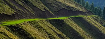 Illustration bench - Image 1