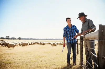 Illustration cadets - Image 1