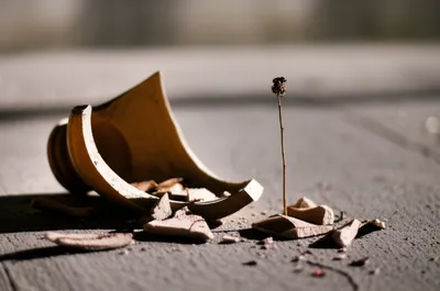 Illustration unrecoverable