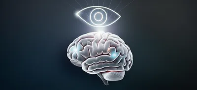 Illustration learned - Image 1