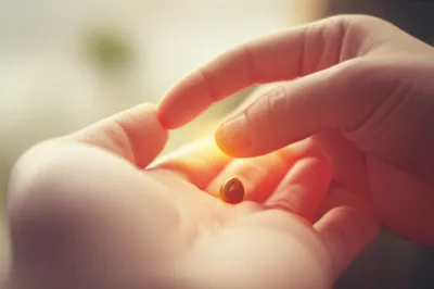 Illustration retained