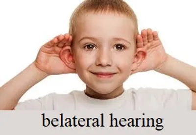 Illustration bilateral - Image 2