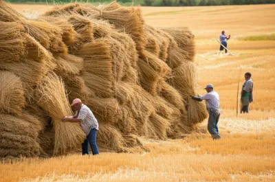 Illustration huts - Image 1