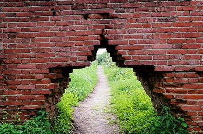 Illustration went - Image 1