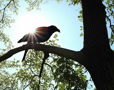 Illustration perching - Image 1