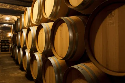 Illustration wooded - Image 1